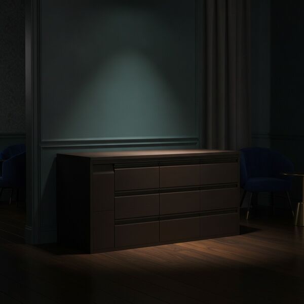 Black Cabinet 02 - interior view 2