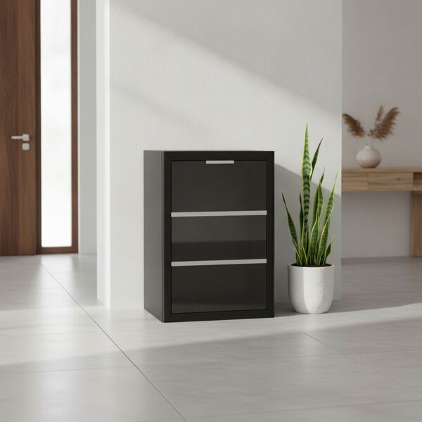 Single Black With Glass Cabinet 01 - interior view 1