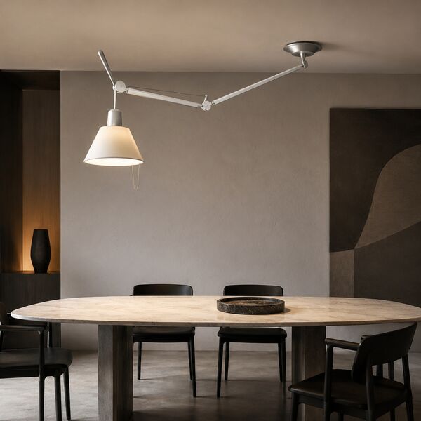 Tolomeo Suspension Lamp Decentered 3D Model