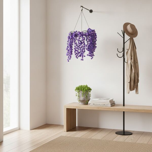Hanged Plant 01 - interior view 2