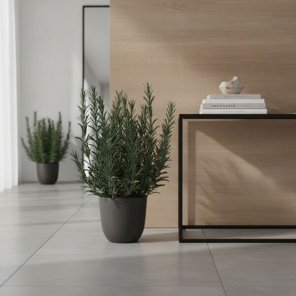 Rosmary Plant 07 3D Model