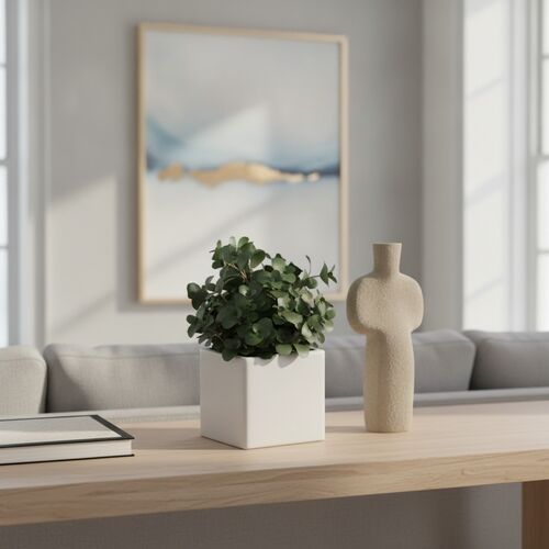 Ceramic Squared And Plant Pot 05 3D Model