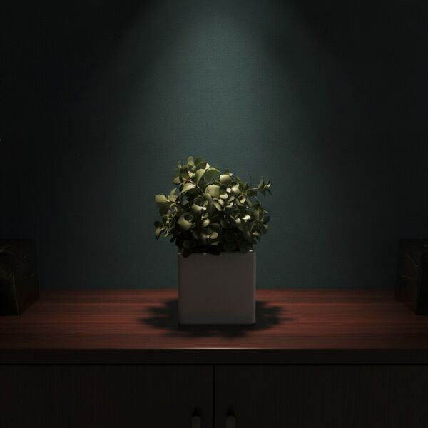 Ceramic Squared And Plant Pot 05 - interior view 2