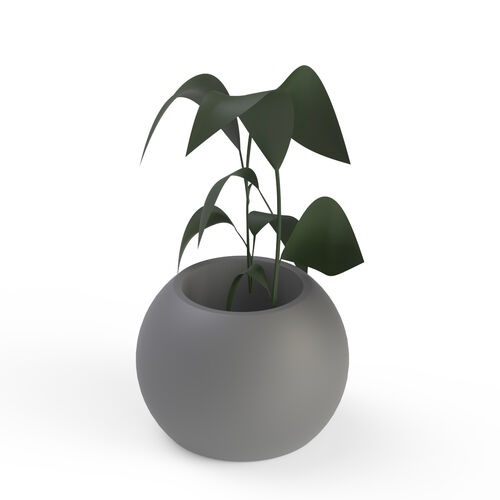 Pot Ceramic Gray and Plant 14 3D Model