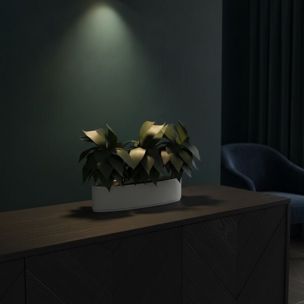 Ceramic White And Plant Pot 07 - interior view 2