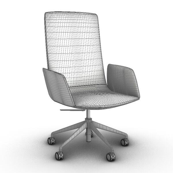 xArper Duna 02 Armchair Woodlegs 4223 - view 1209, Arper