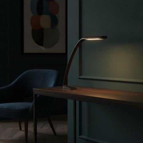 Desk Black Plastic Lamp 02 3D Model